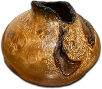 intemporelcestnaturel